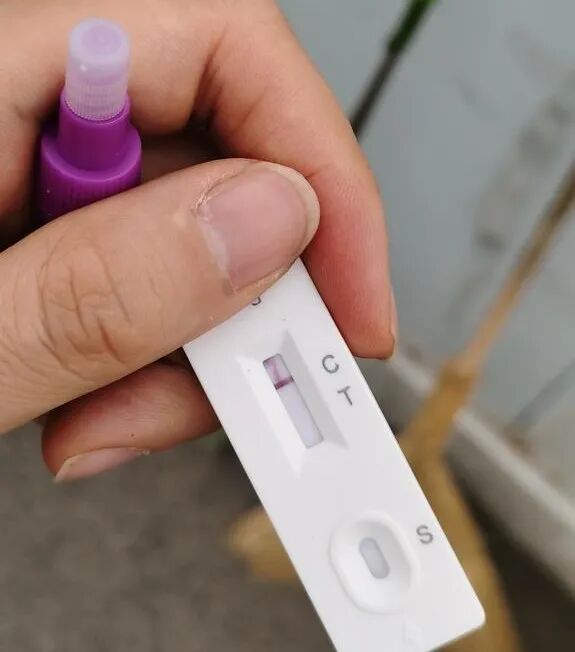 返津历险记